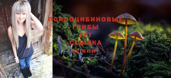 гидропоника Абинск