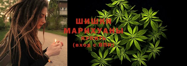 стаф Гусь-Хрустальный