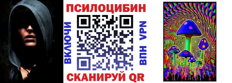 blacksprut сайт  Нижнекамск  Псилоцибиновые грибы Psilocybe 