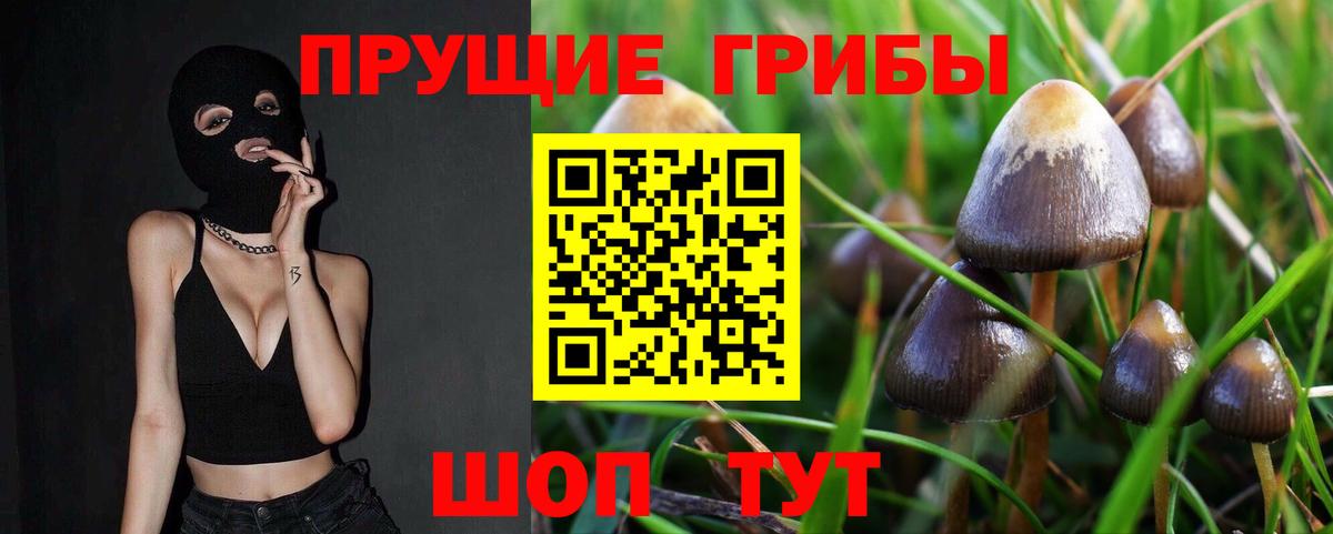 Псилоцибиновые грибы Cubensis  Галлюциногенные грибы MAGIC MUSHROOMS  Вход с VPN  Нижнекамск 
